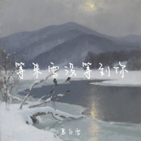 等来雪没等到你 (Single)