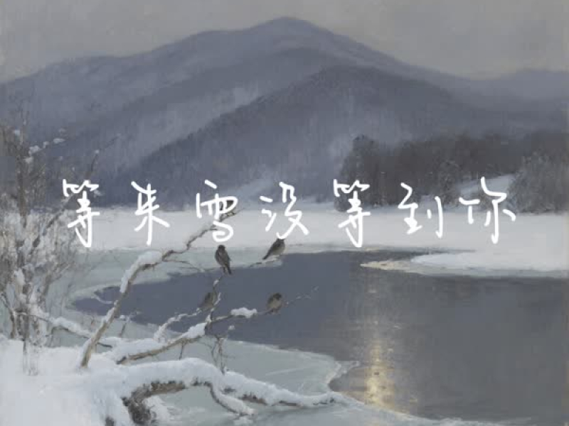 等来雪没等到你 (Single)