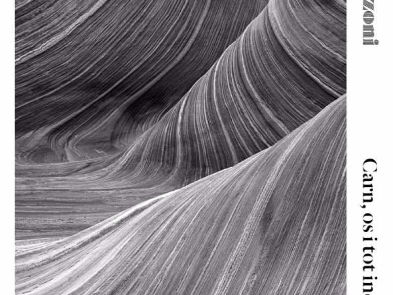 Carn, os i tot inclòs