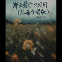 那么爱你也没用 (悲痛合唱版) (Single)