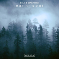 Out Of Sight (Single)