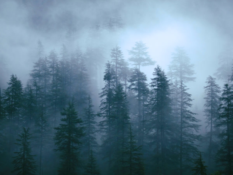 Out Of Sight (Single)