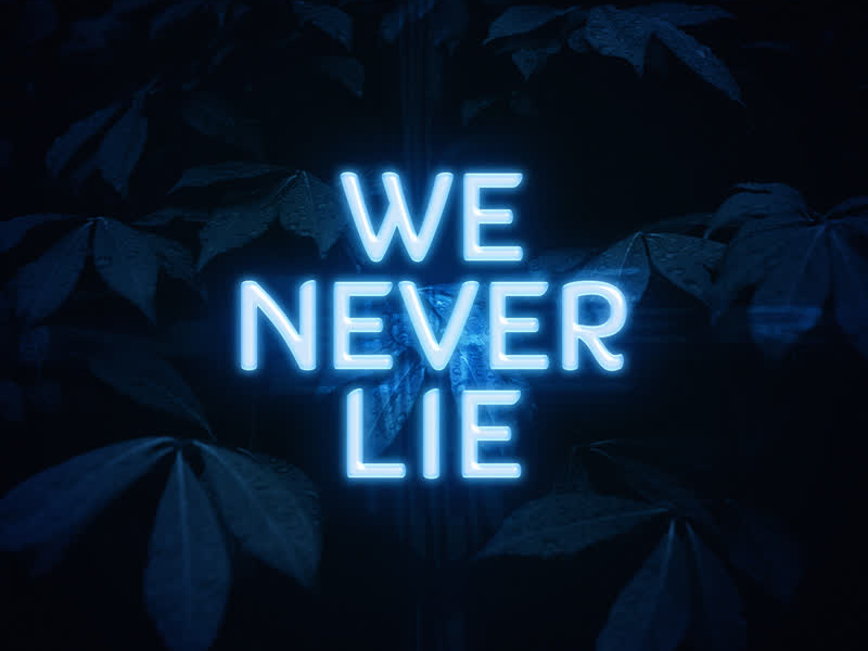 We Never Lie (Single)