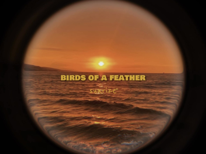 BIRDS OF A FEATHER (Afro House) (Single)