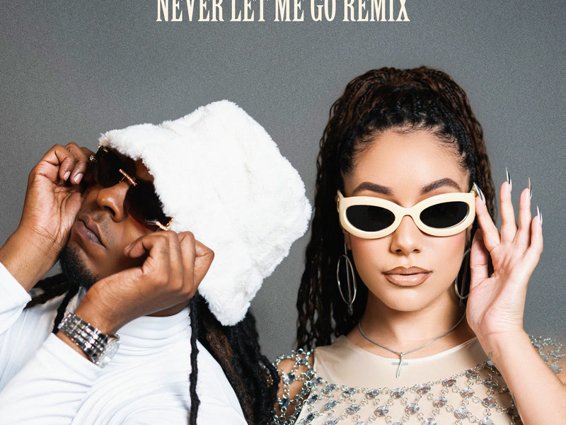Never Let Me Go (Remix) (Single)