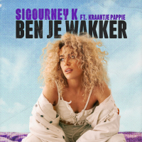 Ben Je Wakker? (Single)