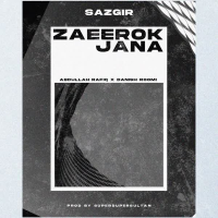 Zaeerok Jana (Single)