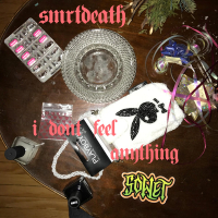I Don't Feel Anything (Single)