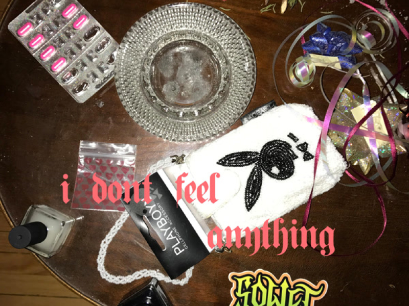 I Don't Feel Anything (Single)