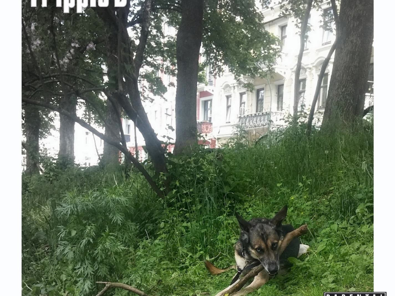 Mer Enn Kjærlighet (Remastered) (Single)