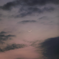 Comforts of Home (Single)