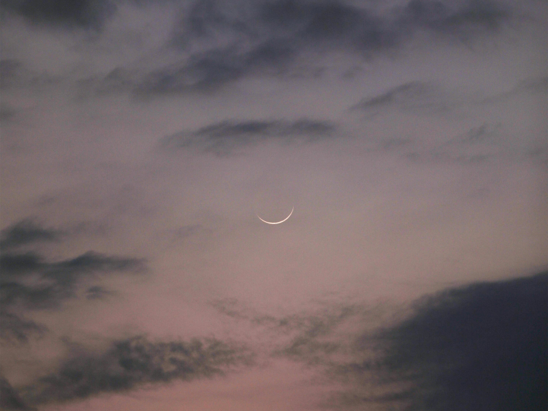 Comforts of Home (Single)