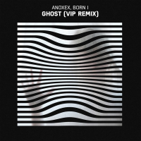 Ghost (VIP Remix) (Single)