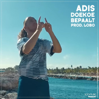 Doekoe Bepaalt (Single)