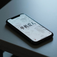 单机爱人 (Single)