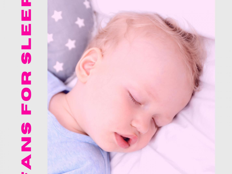 Fans For Meditation, Baby Sleep, Insomnia and Relaxation (Single)