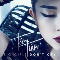 Big Girls Don't Cry (Touliver Remix) (Single)