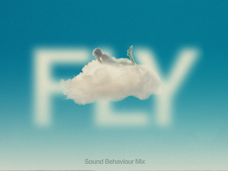 Fly (Sound Behaviour Mix) (Single)