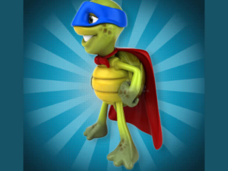 Tortoise Ninja Power (Single)