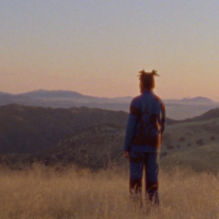 Delicate Limbs (Single)