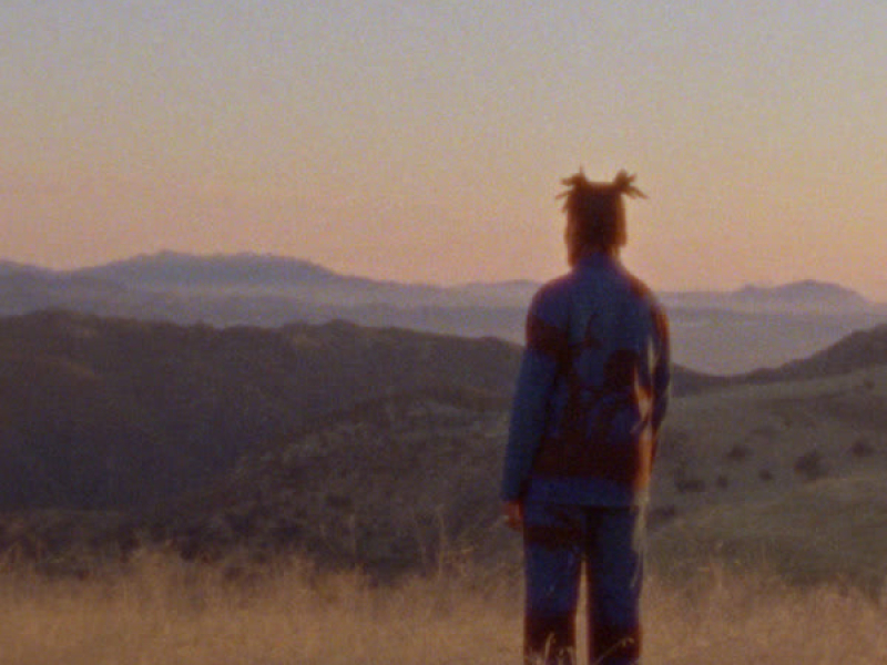 Delicate Limbs (Single)