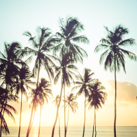 Salonica-Hawaii (Single)