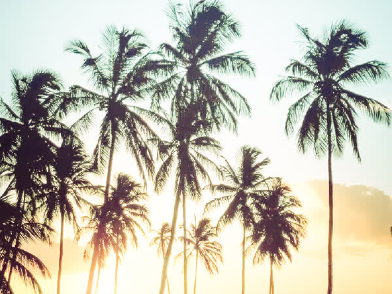 Salonica-Hawaii (Single)