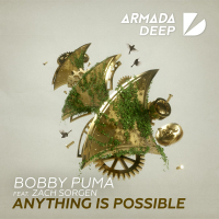 Anything Is Possible (Single)