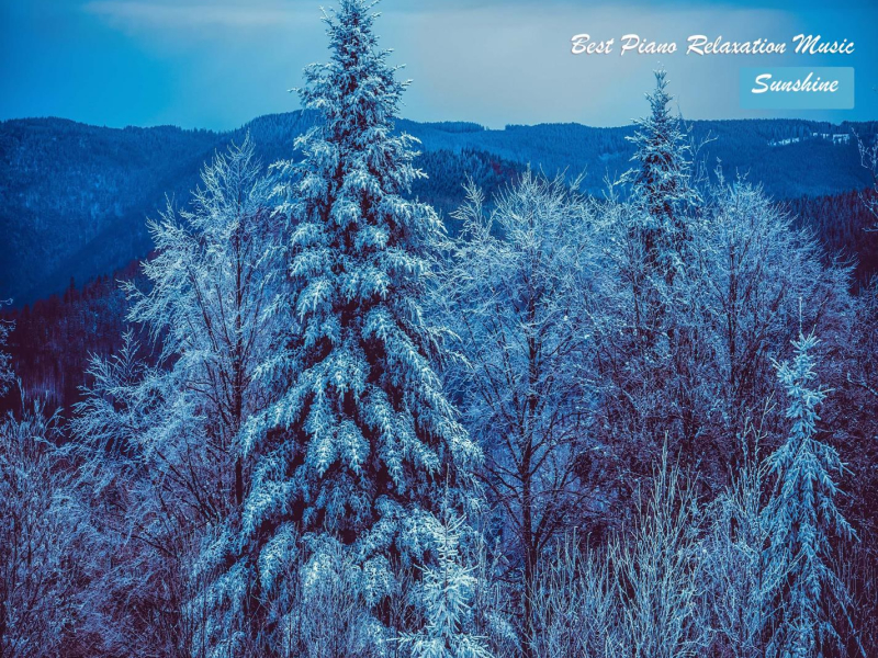 Best Piano Relaxation Music (Single)