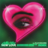New Love (Armand Van Helden Remix) (Single)