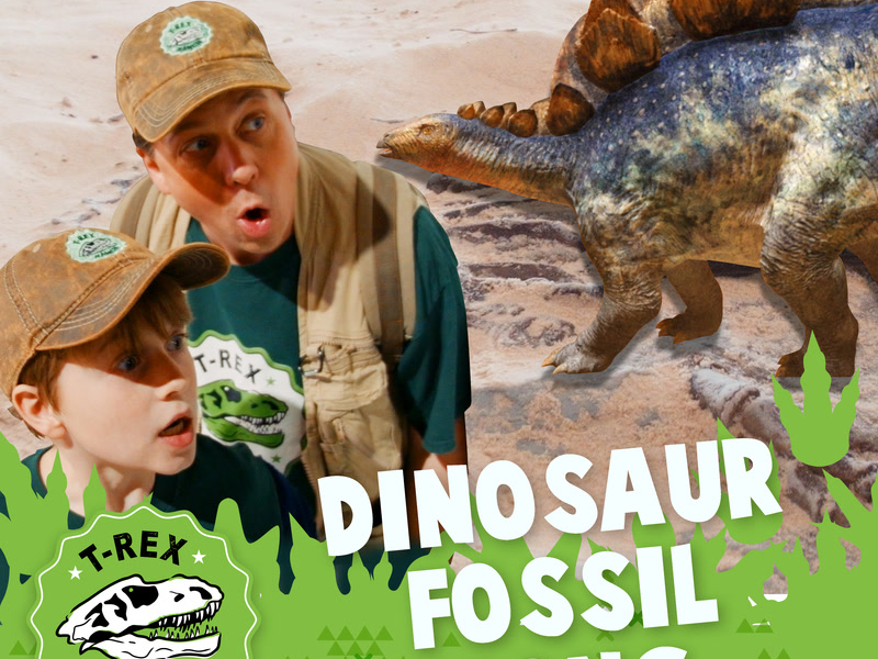Dinosaur Fossil Song (Single)