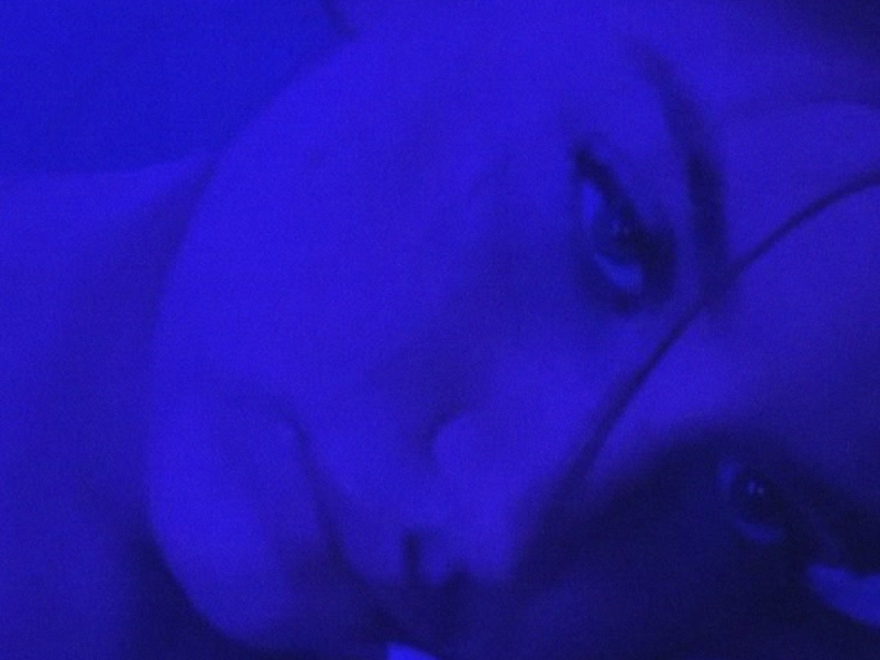 Single Soon - Sped Up (Single)