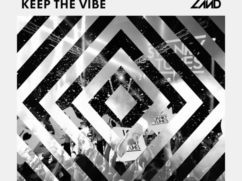 Keep The Vibe (Single)