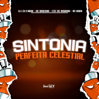 Sintonia Perfeita Celestial (Single)
