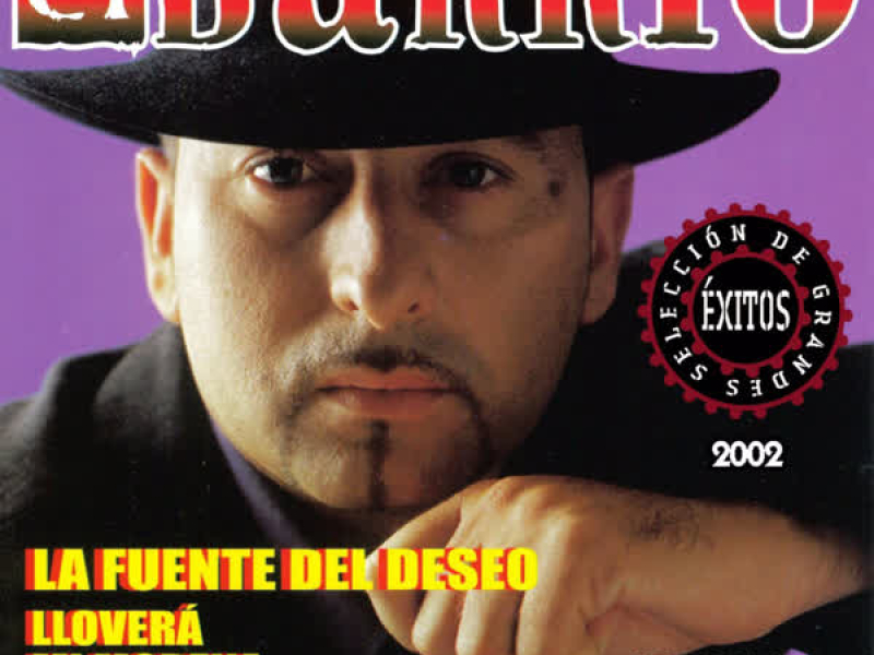 Seleccíon de Grandes Exitos 2002