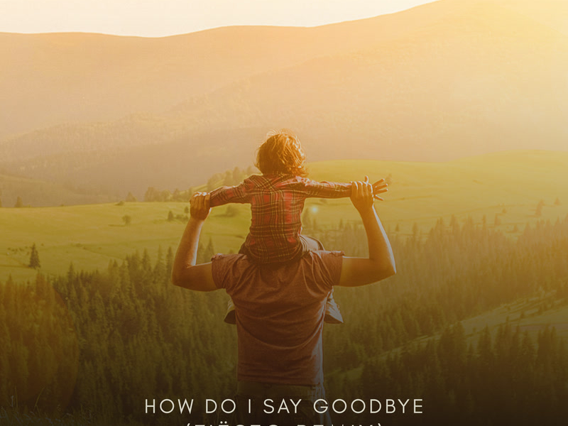How Do I Say Goodbye (Tiësto Remix) (Single)
