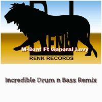 Incredible Drum n Bass Remix (Single)