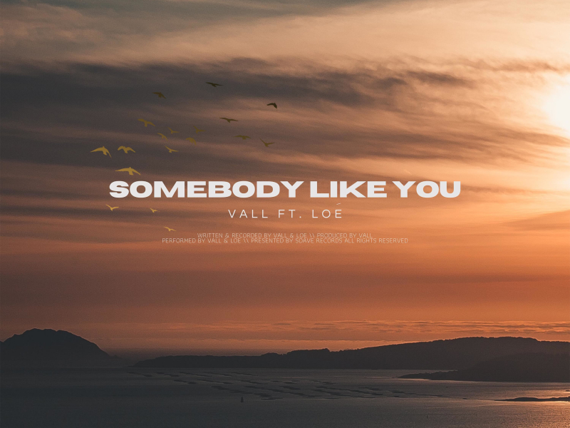 Somebody Like You (feat. Lóe) (Single)