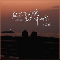 放不下的爱忘不掉的你 (Single)