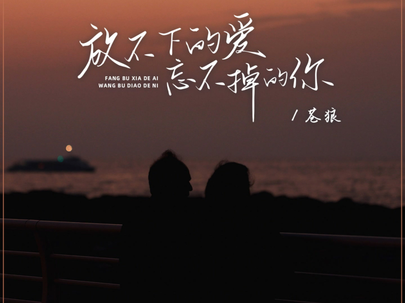 放不下的爱忘不掉的你 (Single)