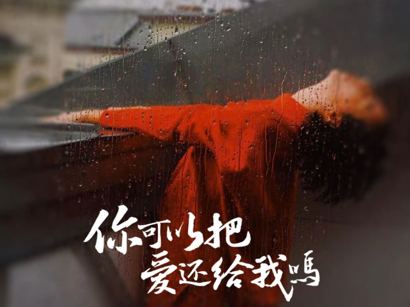 你可以把爱还给我吗 (吉特巴版) (Single)