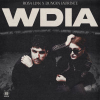 WDIA (Would Do It Again) (Single)