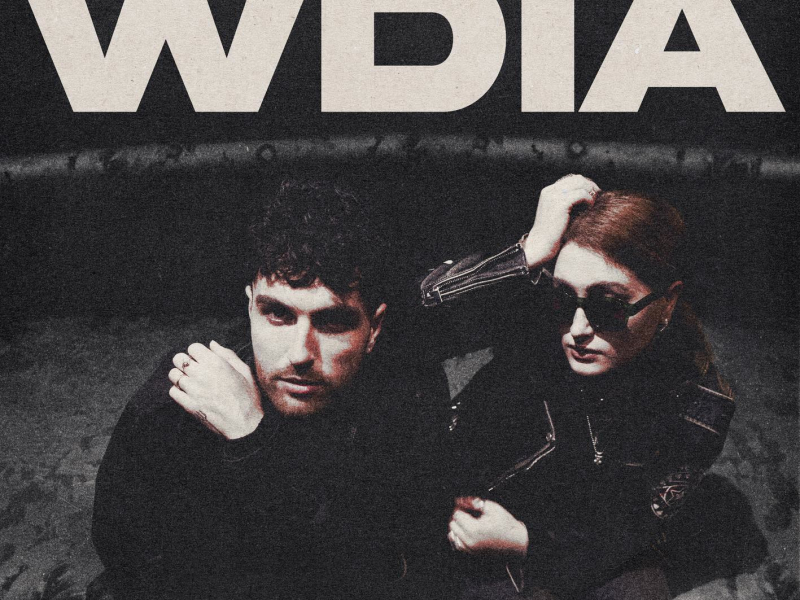 WDIA (Would Do It Again) (Single)