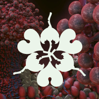 Ovule (feat. Shygirl) [Sega Bodega Remix] (Single)