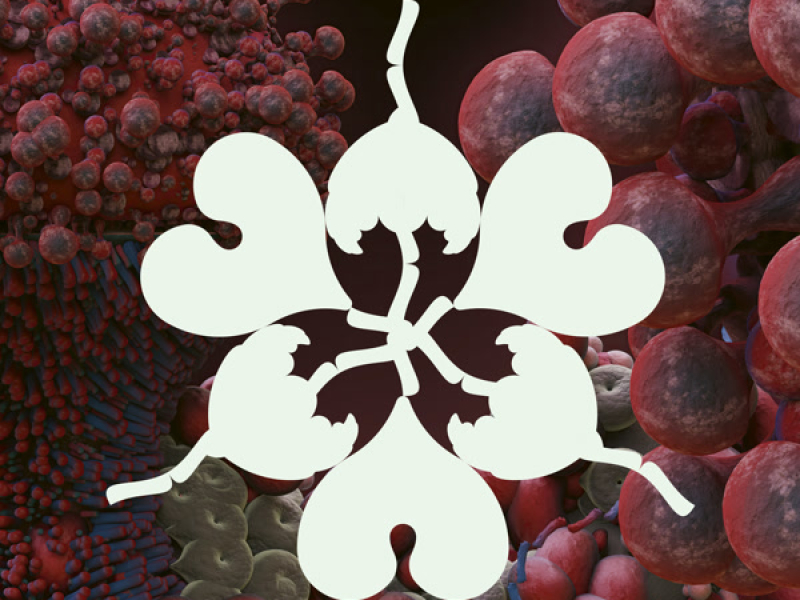 Ovule (feat. Shygirl) [Sega Bodega Remix] (Single)