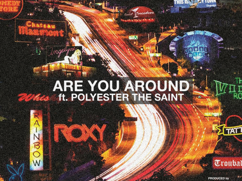 Are You Around (feat. Polyester The Saint)