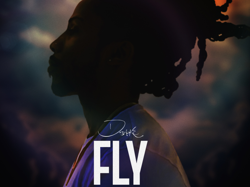 Fly (feat. Davion Farris)