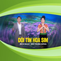 Đồi Tím Hoa Sim (Single)