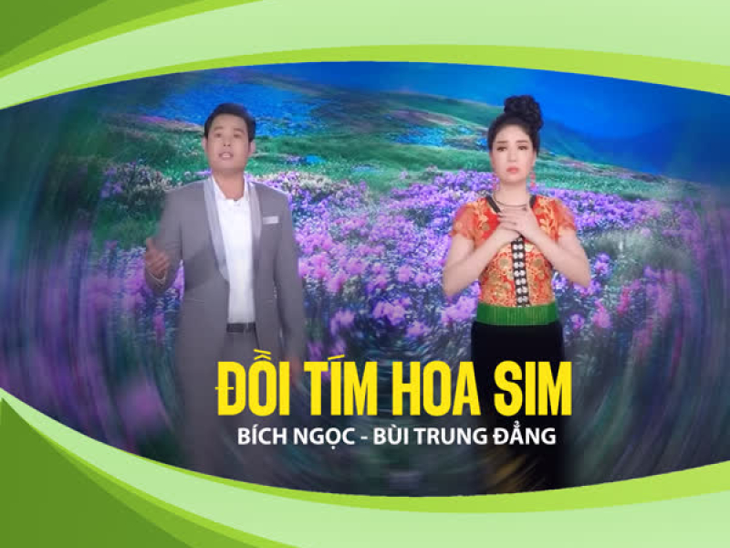 Đồi Tím Hoa Sim (Single)
