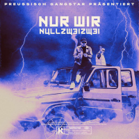 Nur wir (Single)
